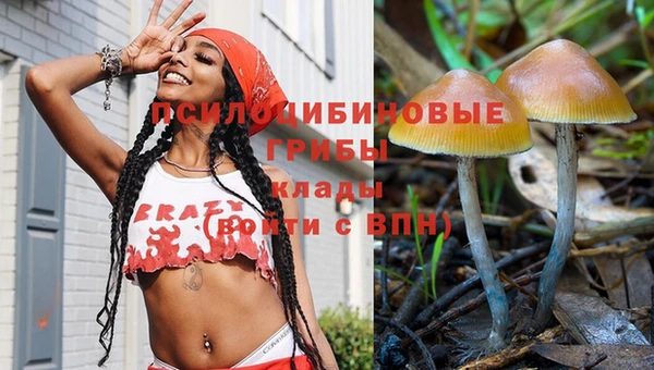 спайс Няндома