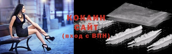 спайс Няндома