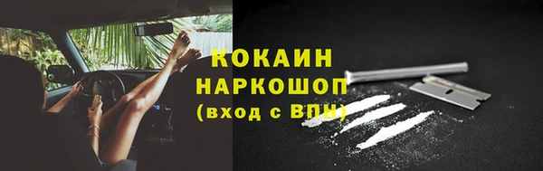 спайс Няндома